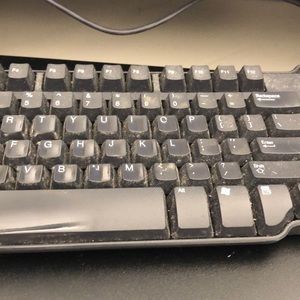 Meet your Posher, Nora